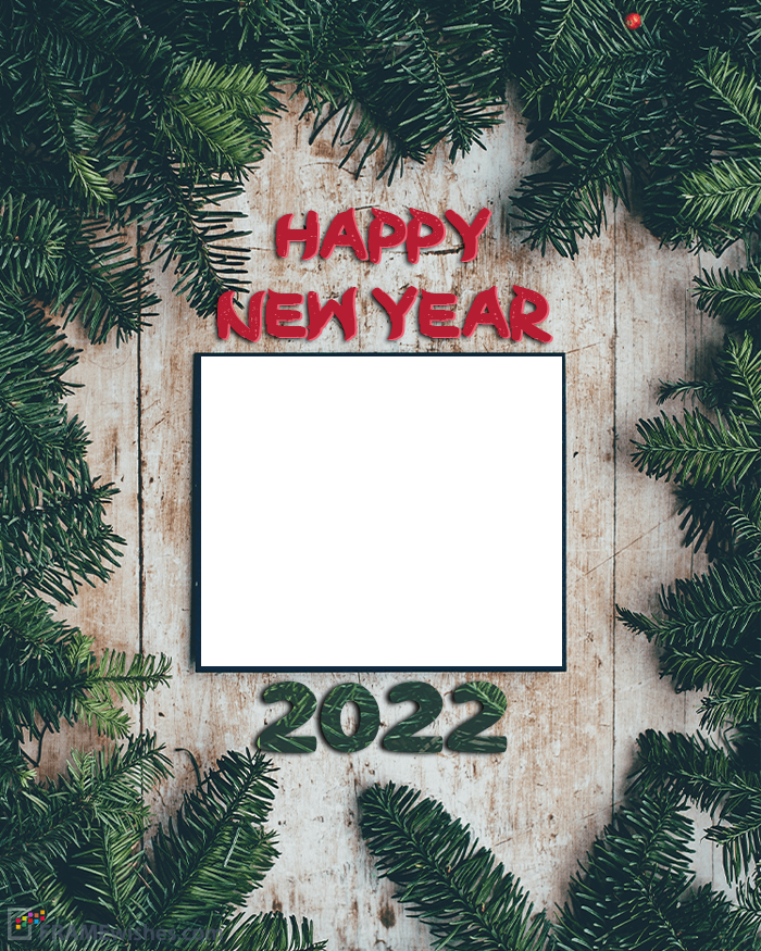 New Year Frame 2021