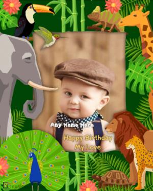 Cute Animals Kids Birthday Photo Frame